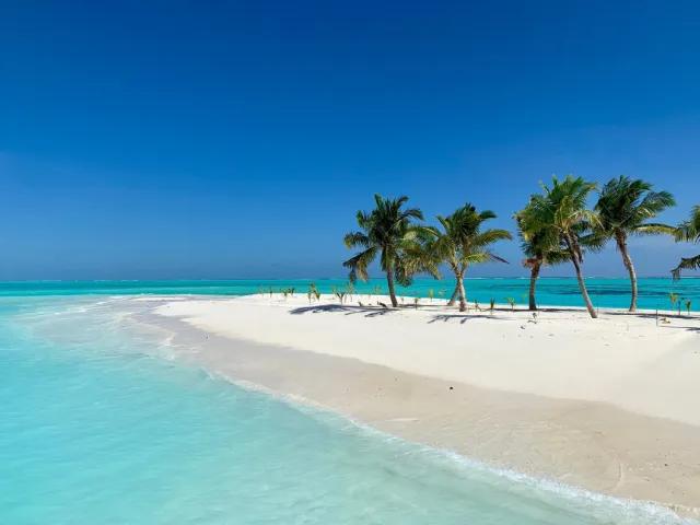 FLASH SALE | May - July | Hotel Riu Atoll | All Inclusive 