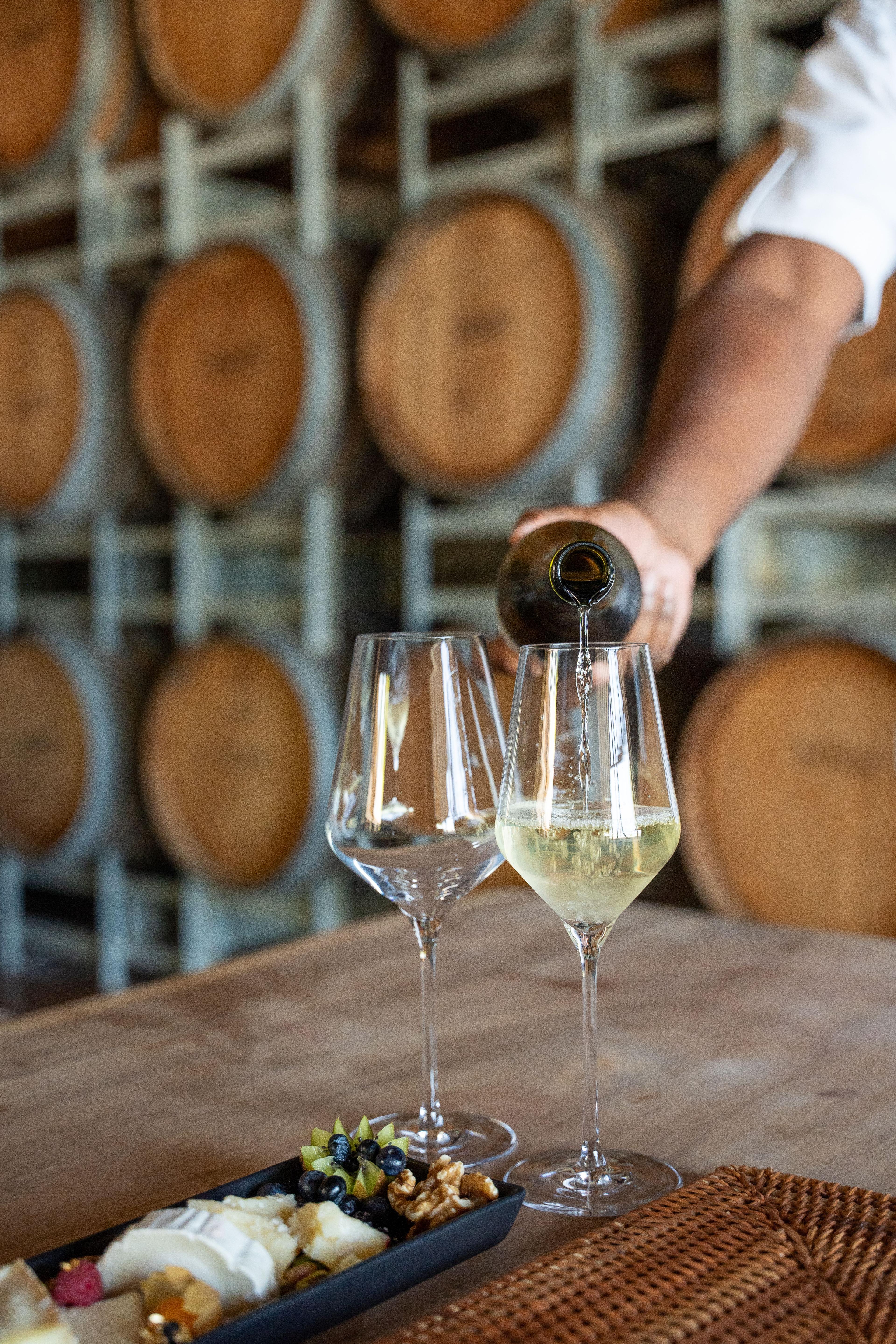Cheese and Wine Tasting
