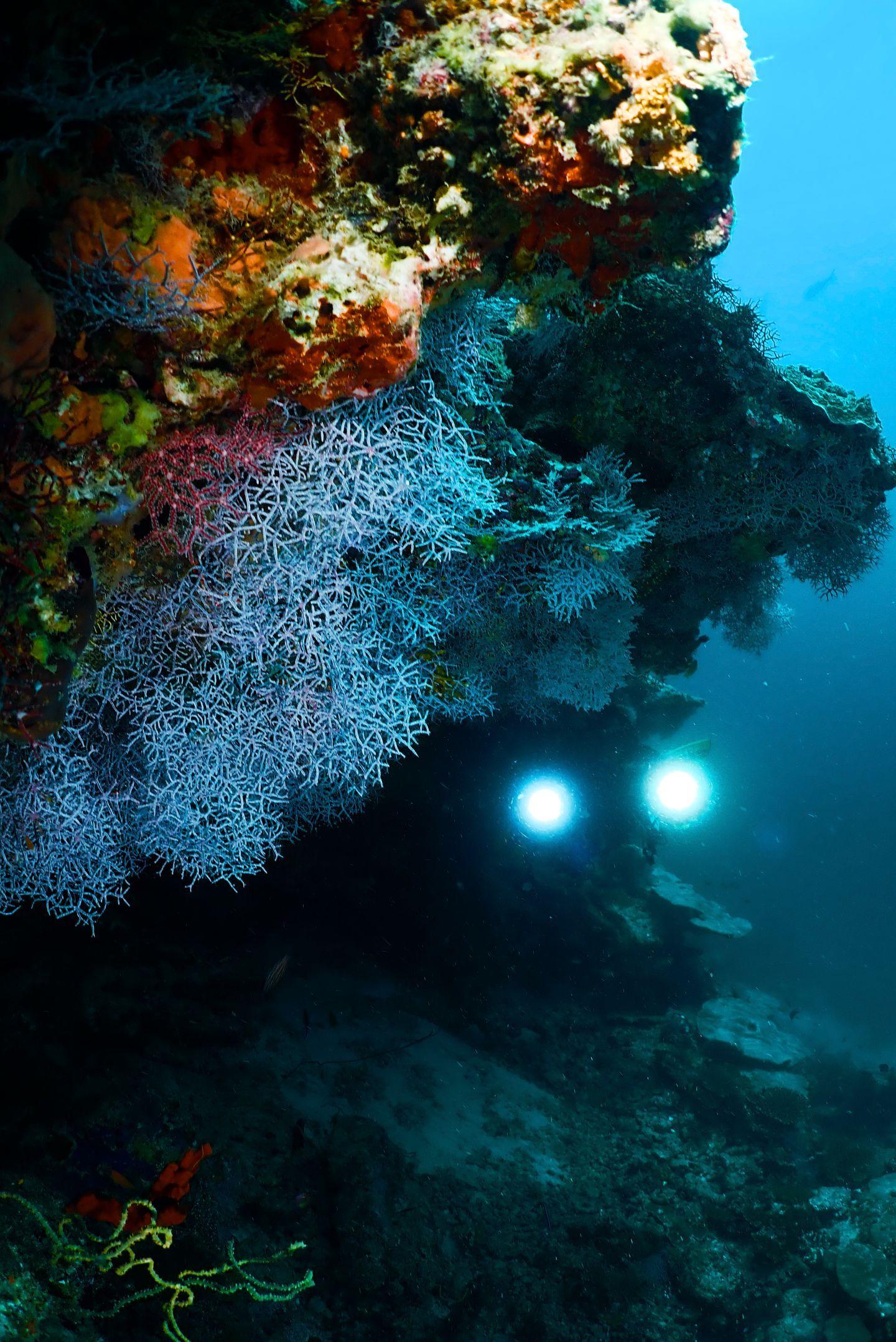 Scuba Diving