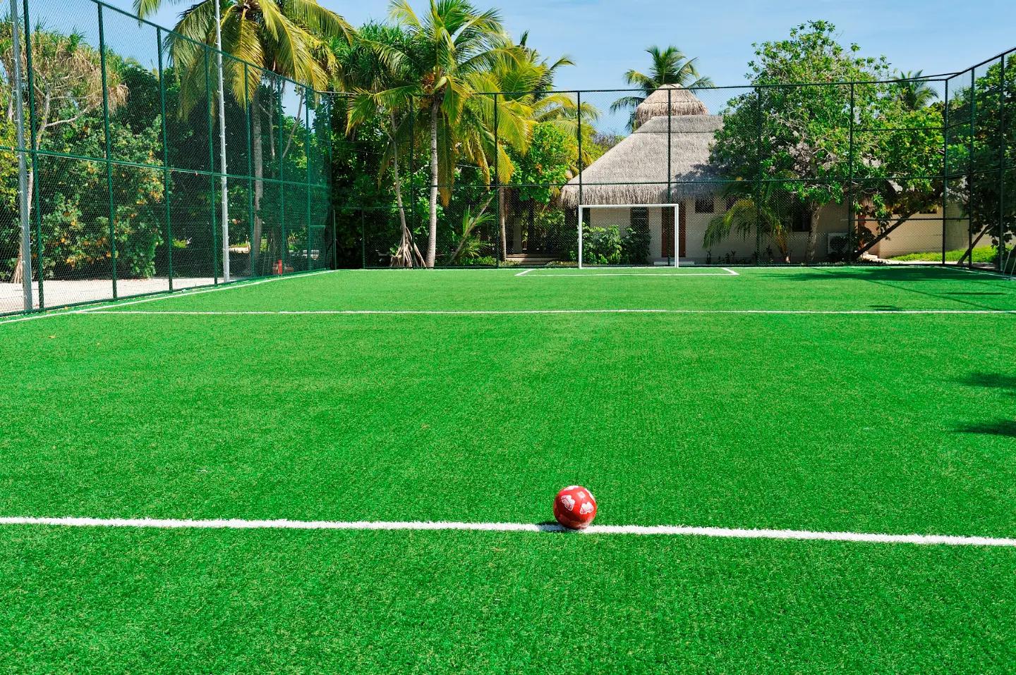 5. Inspiring Visiting Experts and Special Guests