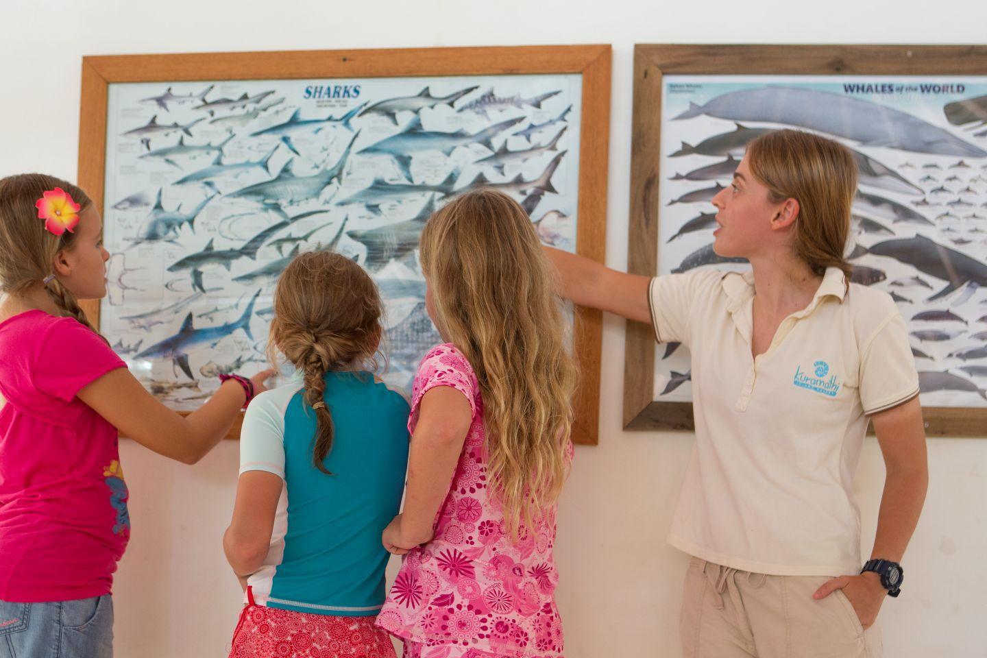 Many activities and outlets to explore 