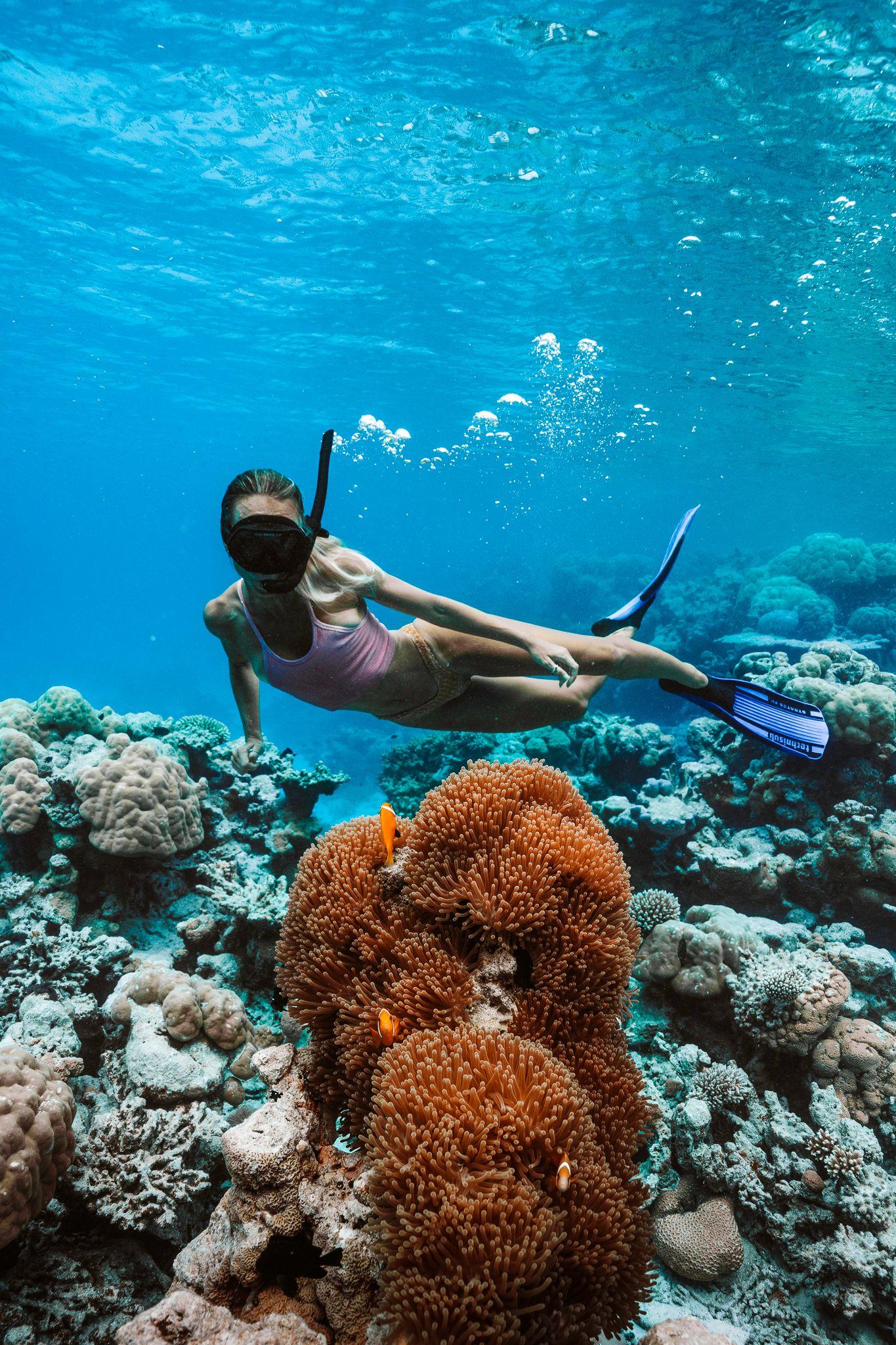 Snorkelling