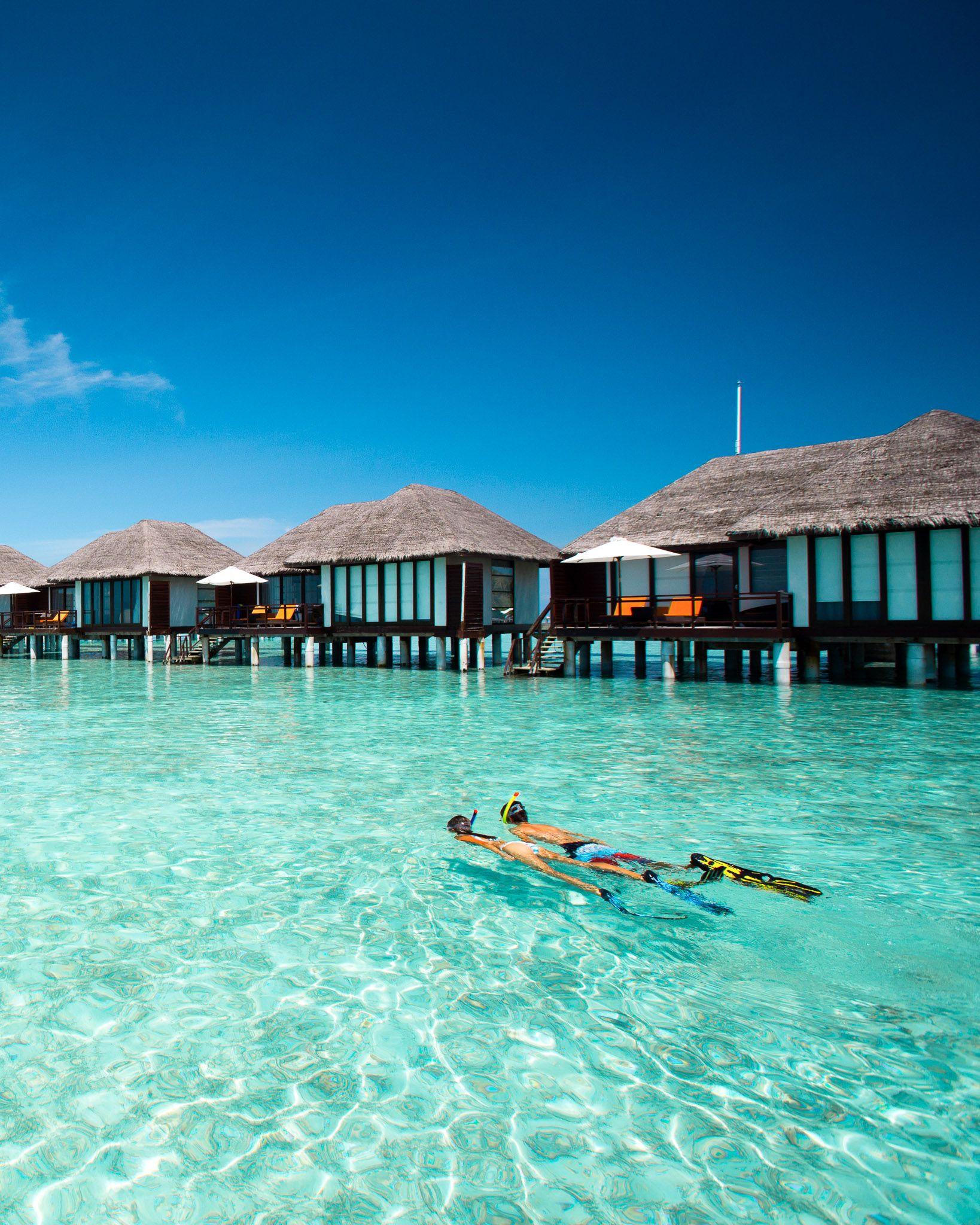 Marine Centre and Snorkelling Excursions