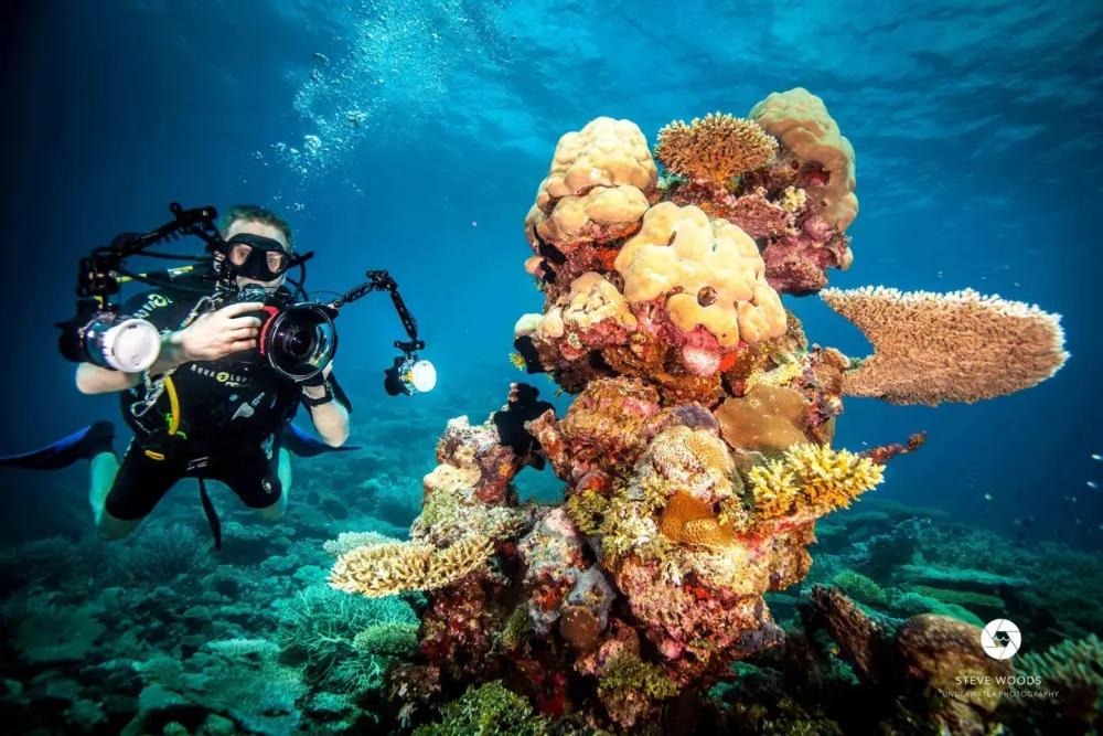 Scuba Diving