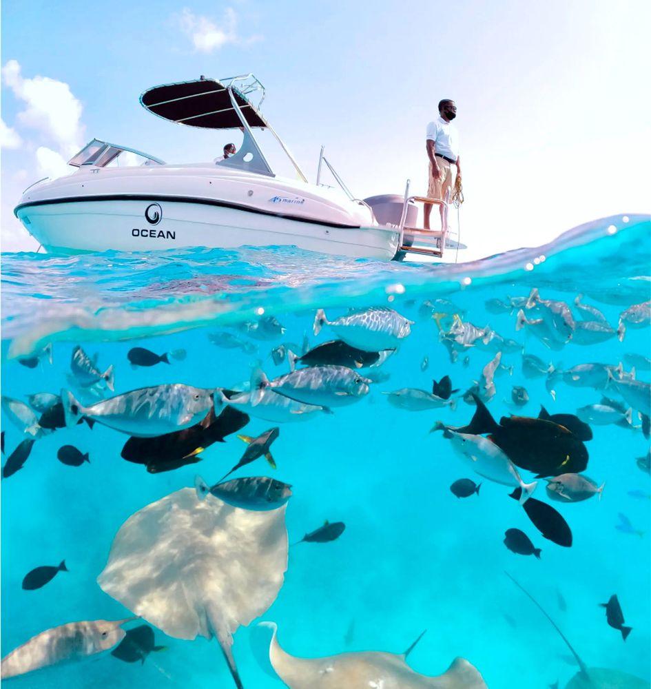 Scuba Diving