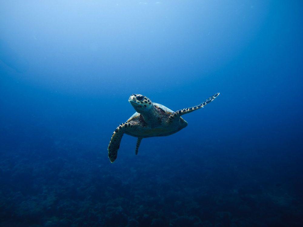 Scuba Diving Centre