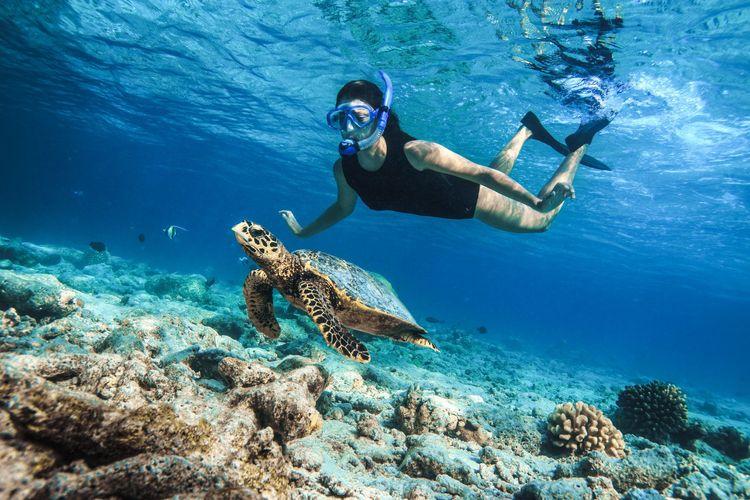 Maldives