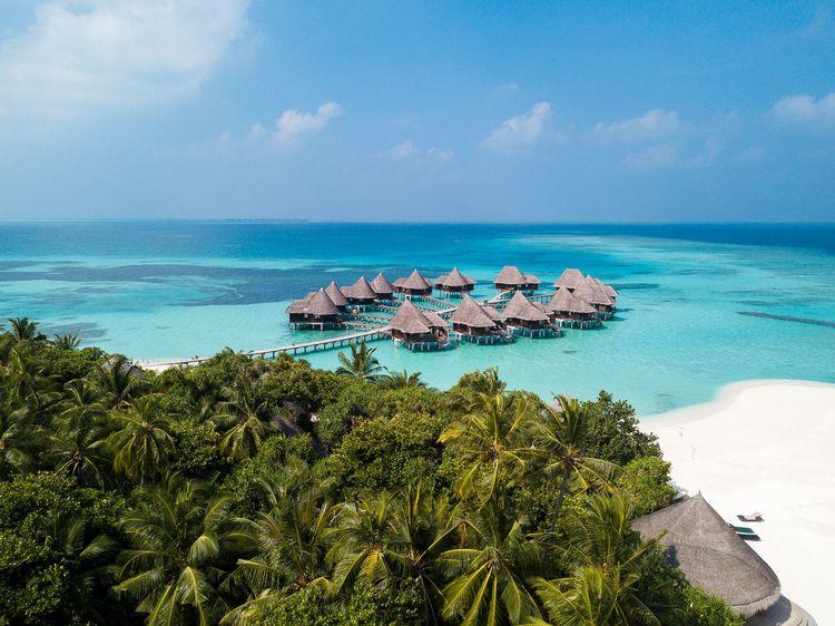 Black Friday Deal | April-September 2026 | up to 45% off| Sunset Beach Villa | Coco Palm Dhuni Kolhu | All-Inclusive | 07 Nights