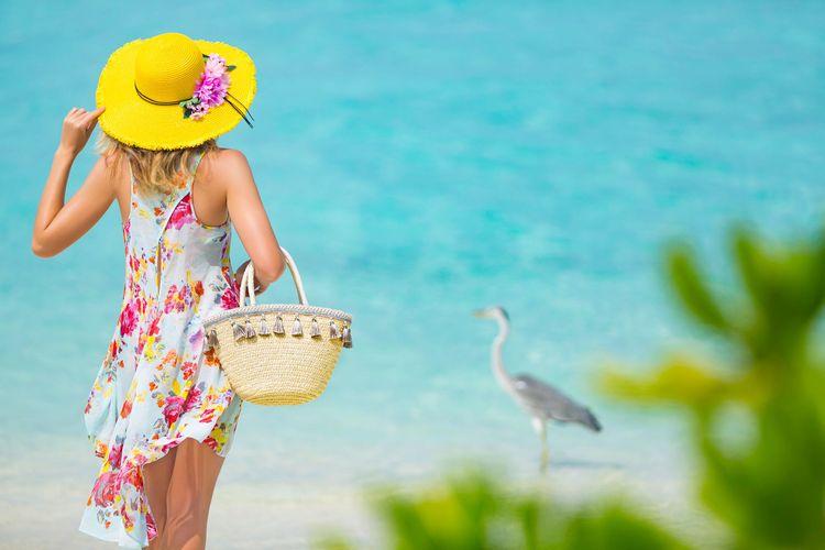 Black Friday Deal | May-September 2026 | Exclusive Rate | Taj Exotica | Full Board and Transfers