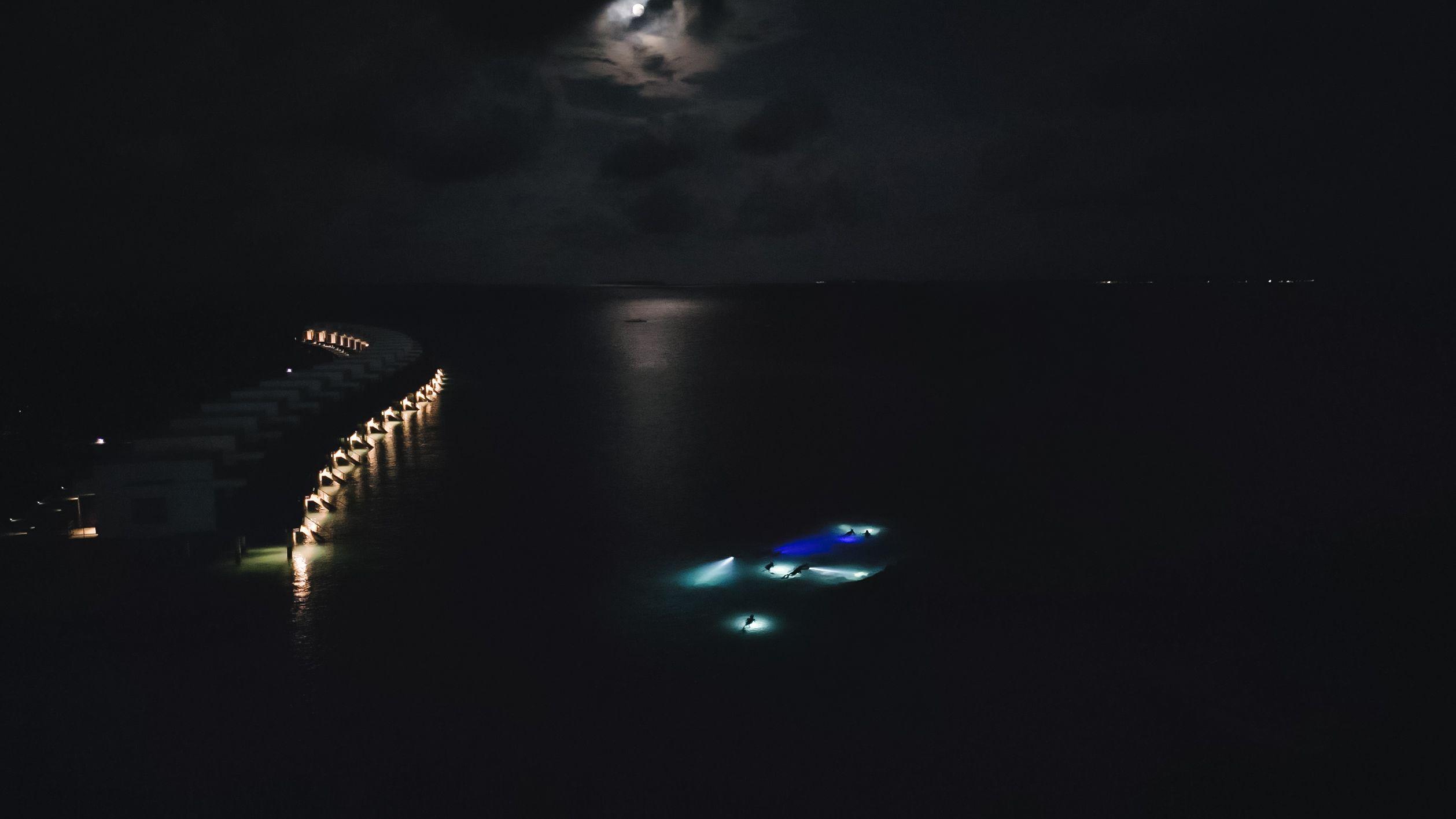 Night Snorkelling in Maldives 2