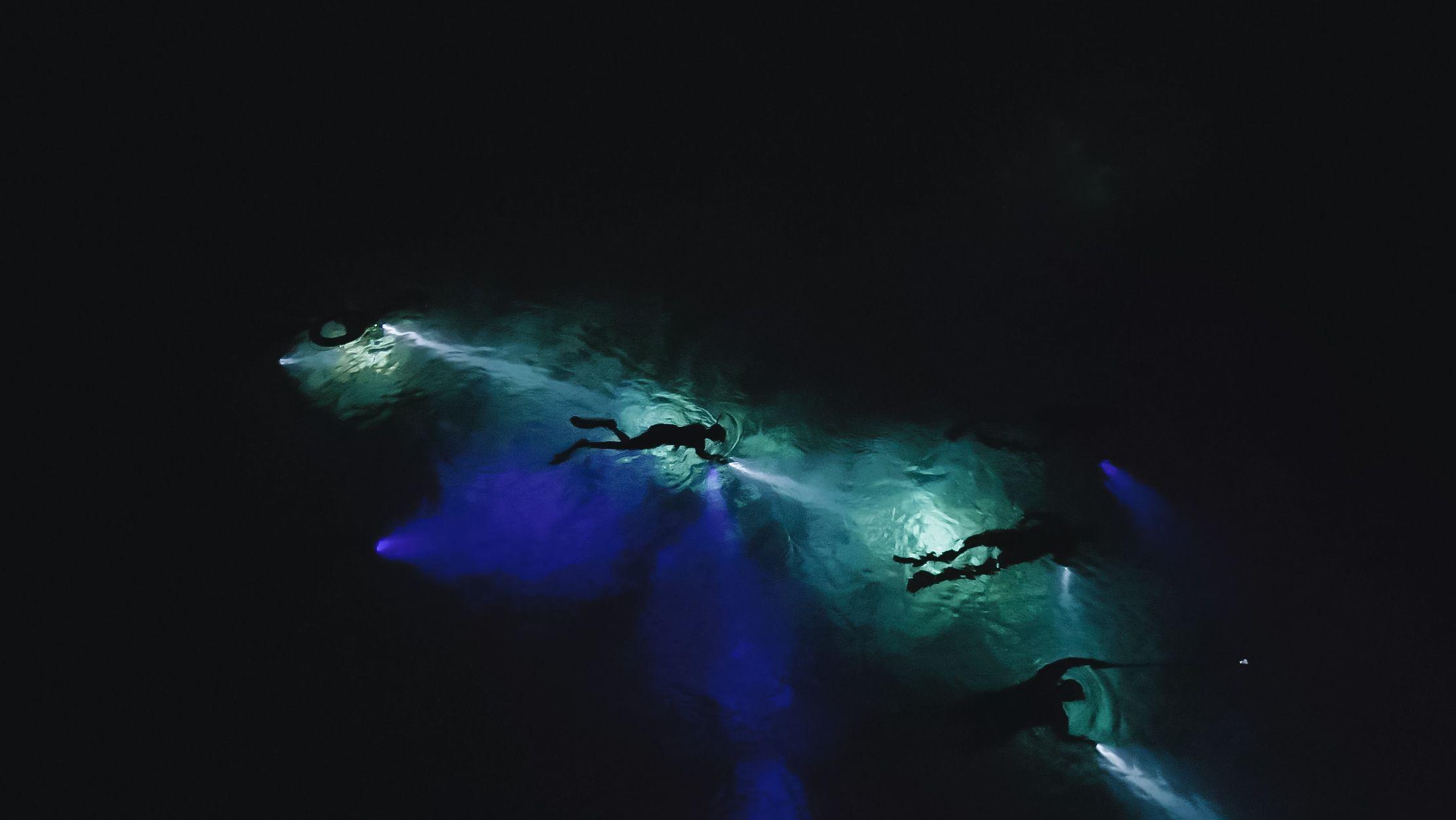 Night Snorkelling in Maldives 