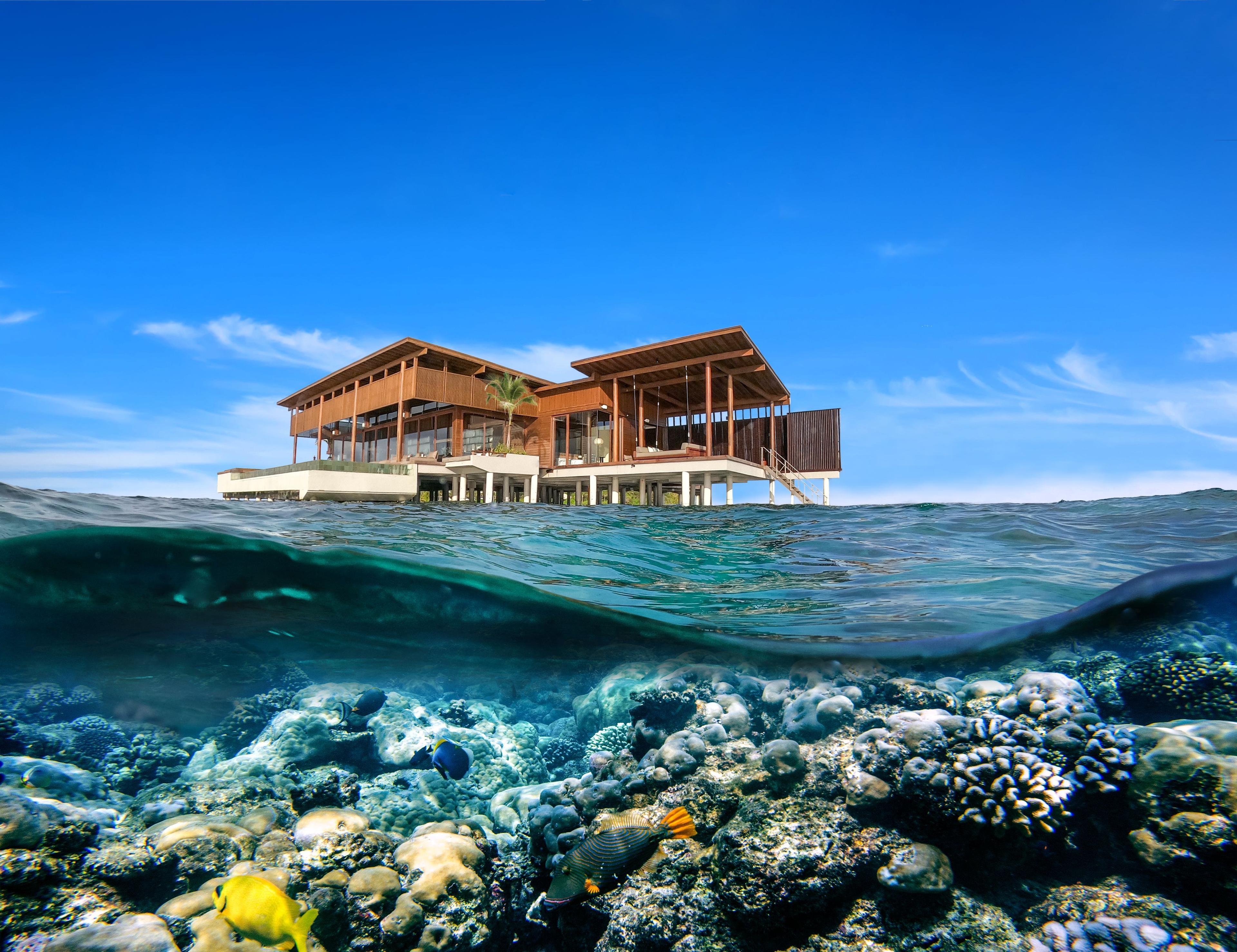 Park Hyatt Maldives - General - House Reef.jpg