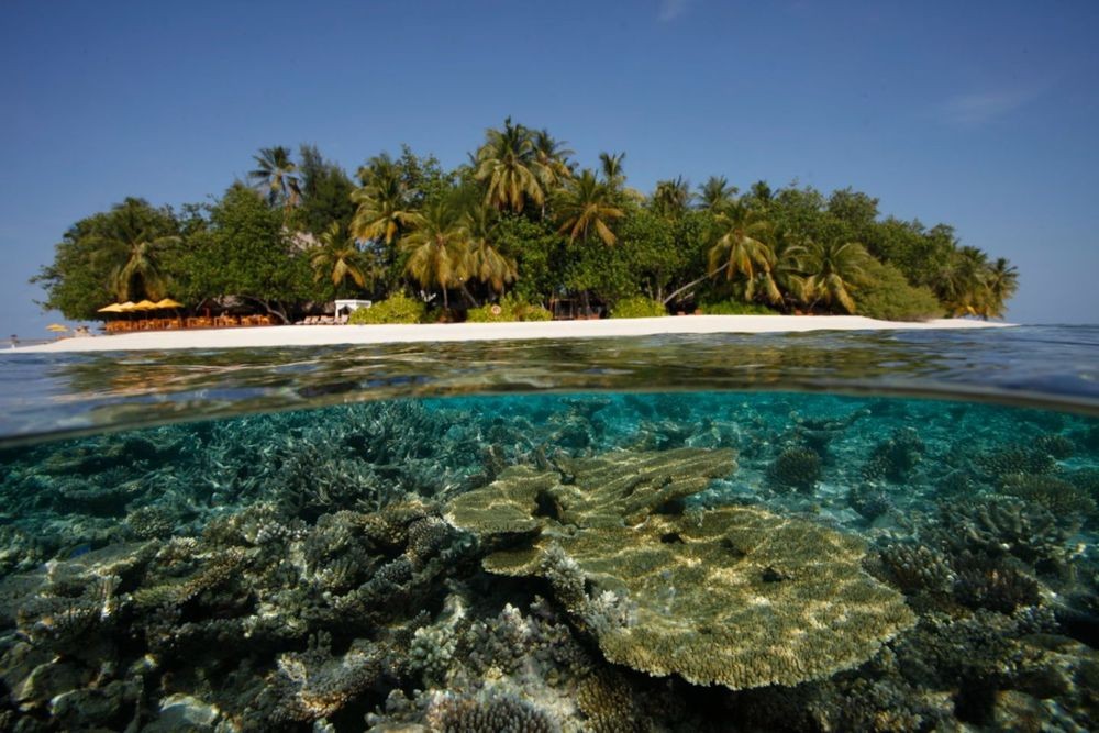 Spirit of the Islands