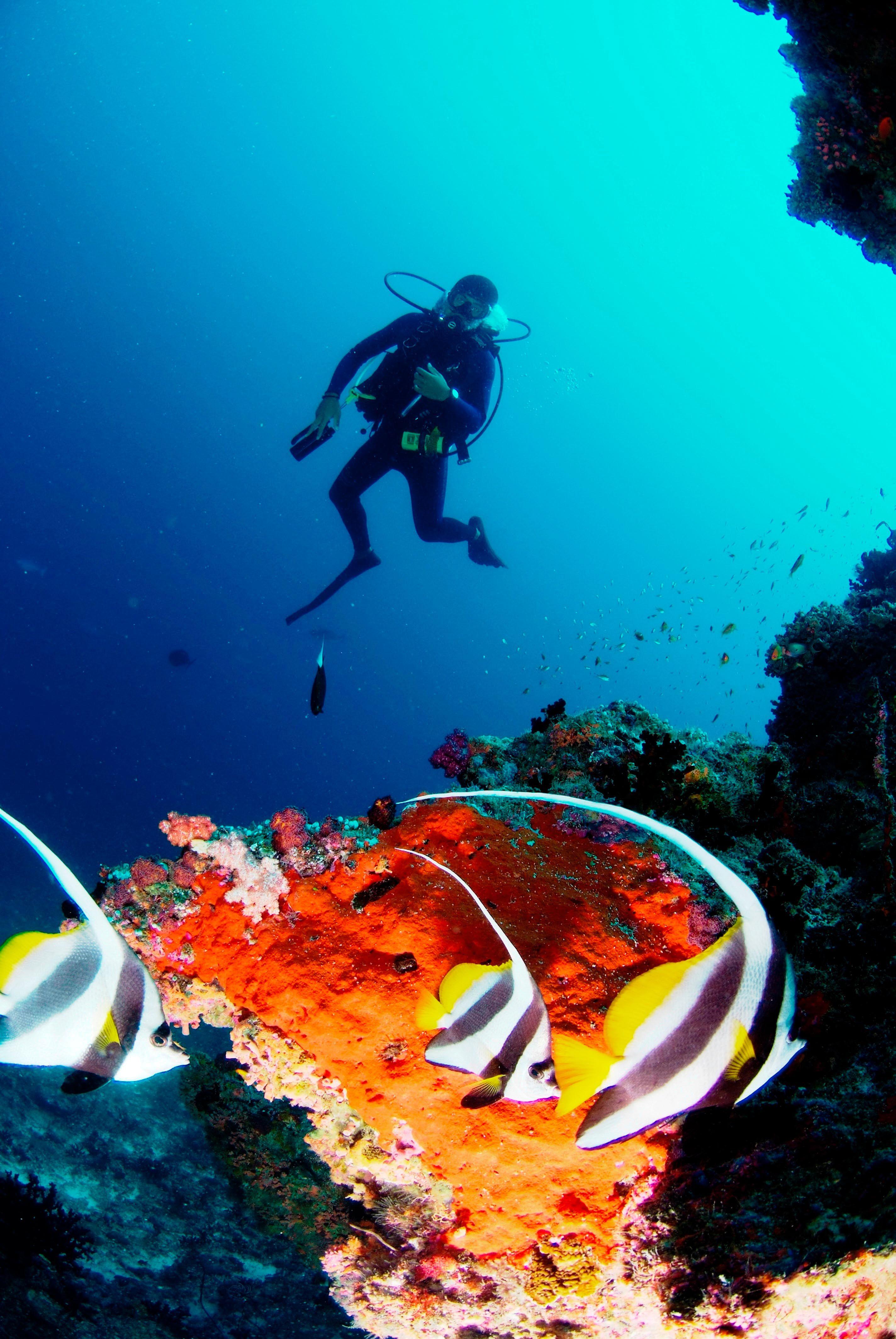 Scuba Diving