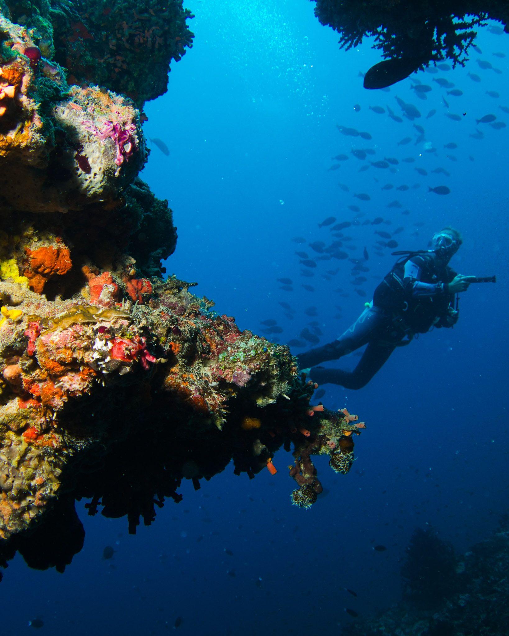 Scuba Diving