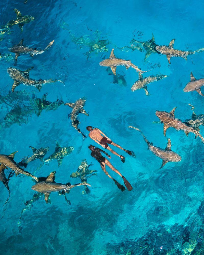 Diving and Snorkelling