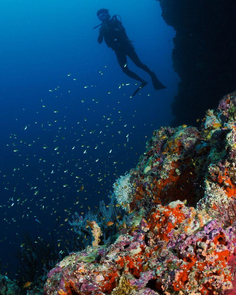 Scuba Diving