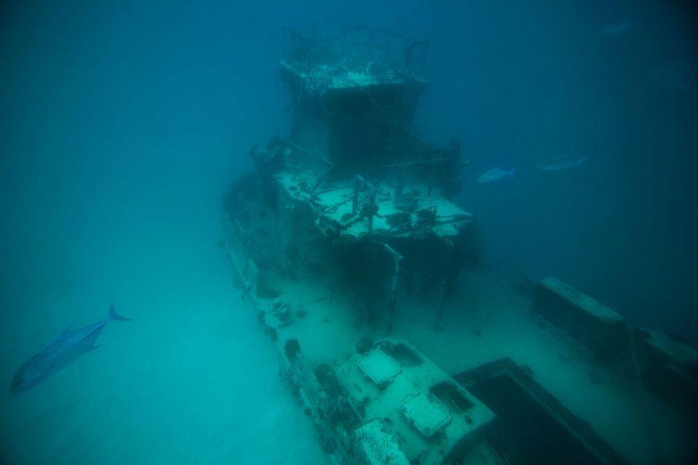Scuba Diving