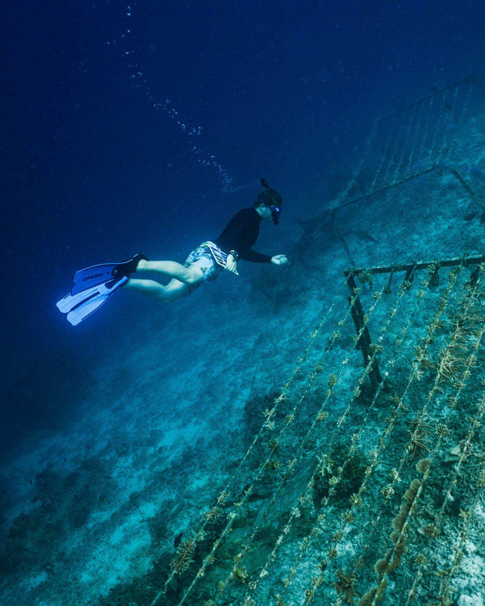 Banyan-Tree-Vabbinfaru-Facilities-Marine-Lab-Coral Planting.jpg