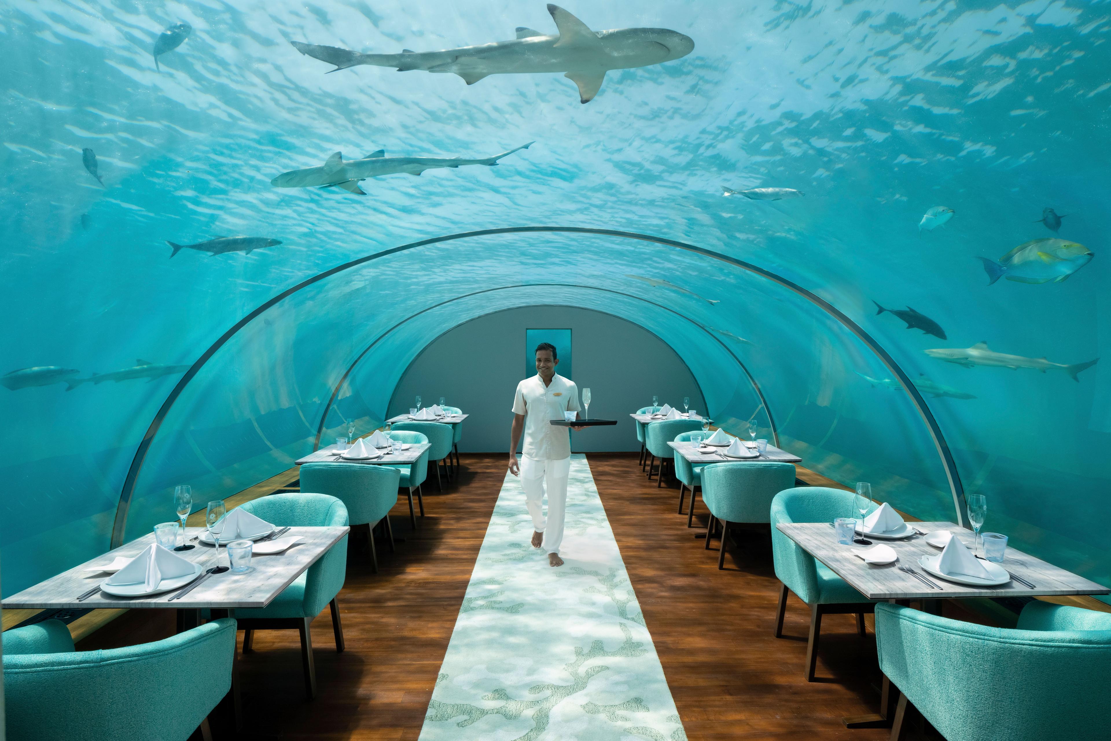 Conrad-Maldives-Food-and-Drinks-Underwater-Dining-Ithaa-Undersea-Restaurant.jpg