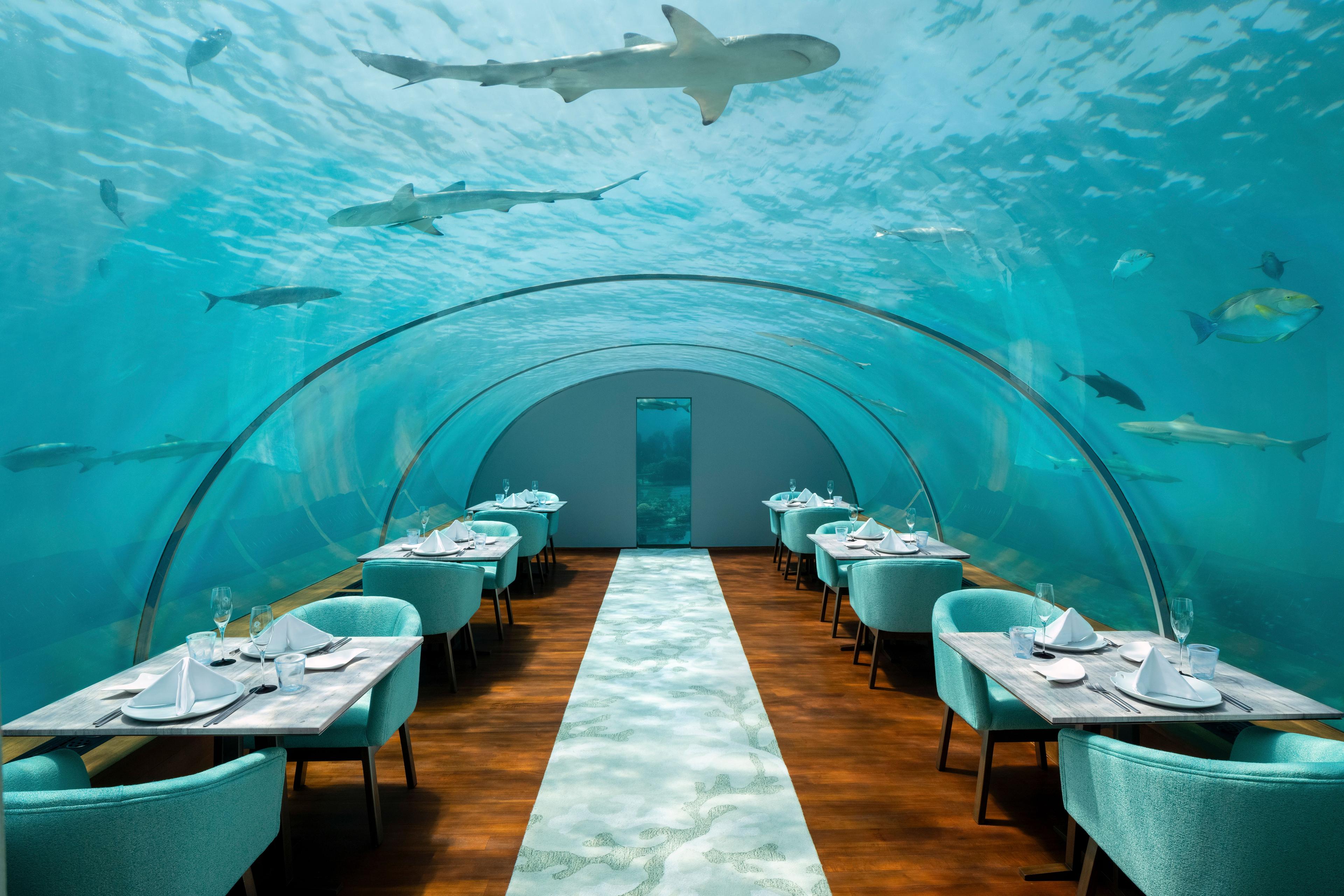 Conrad-Maldives-Food-and-Drinks-Underwater-Dining-Ithaa-Undersea-Restaurant-1.jpg