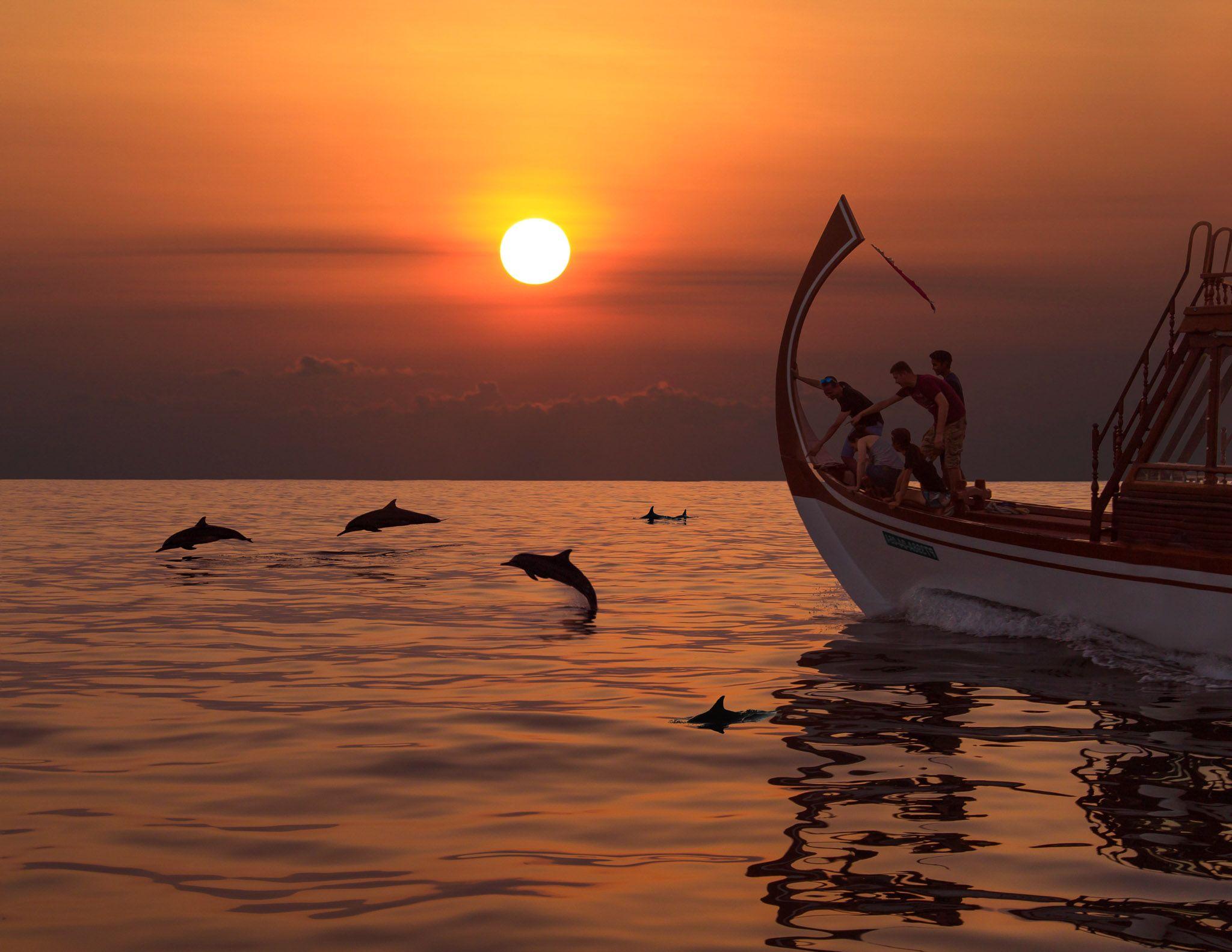 Dusit Thani Maldives - Excursions - Dolphin Cruise Excursion.jpg