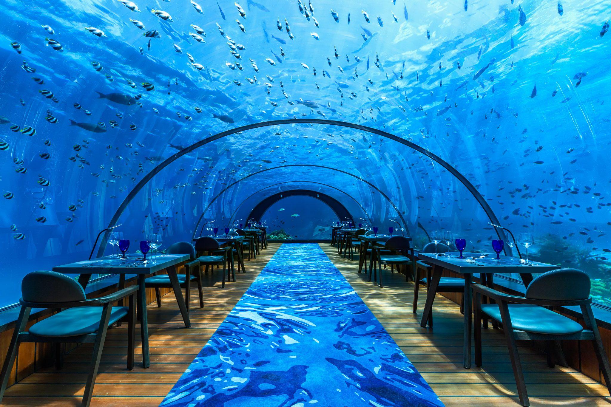 Hurawalhi Island Resort - F&B - Restaurant - 5.8 Undersea Restaurant - Interior.jpg