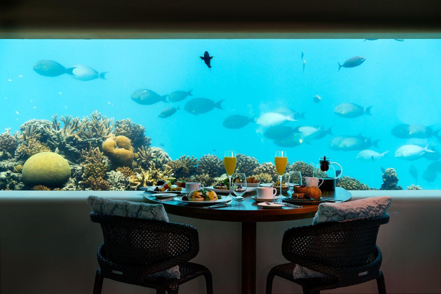 Huvafen-Fushi-Food-and-Drinks-Underwater-Dining-Immerse…Latitude 4°.jpg