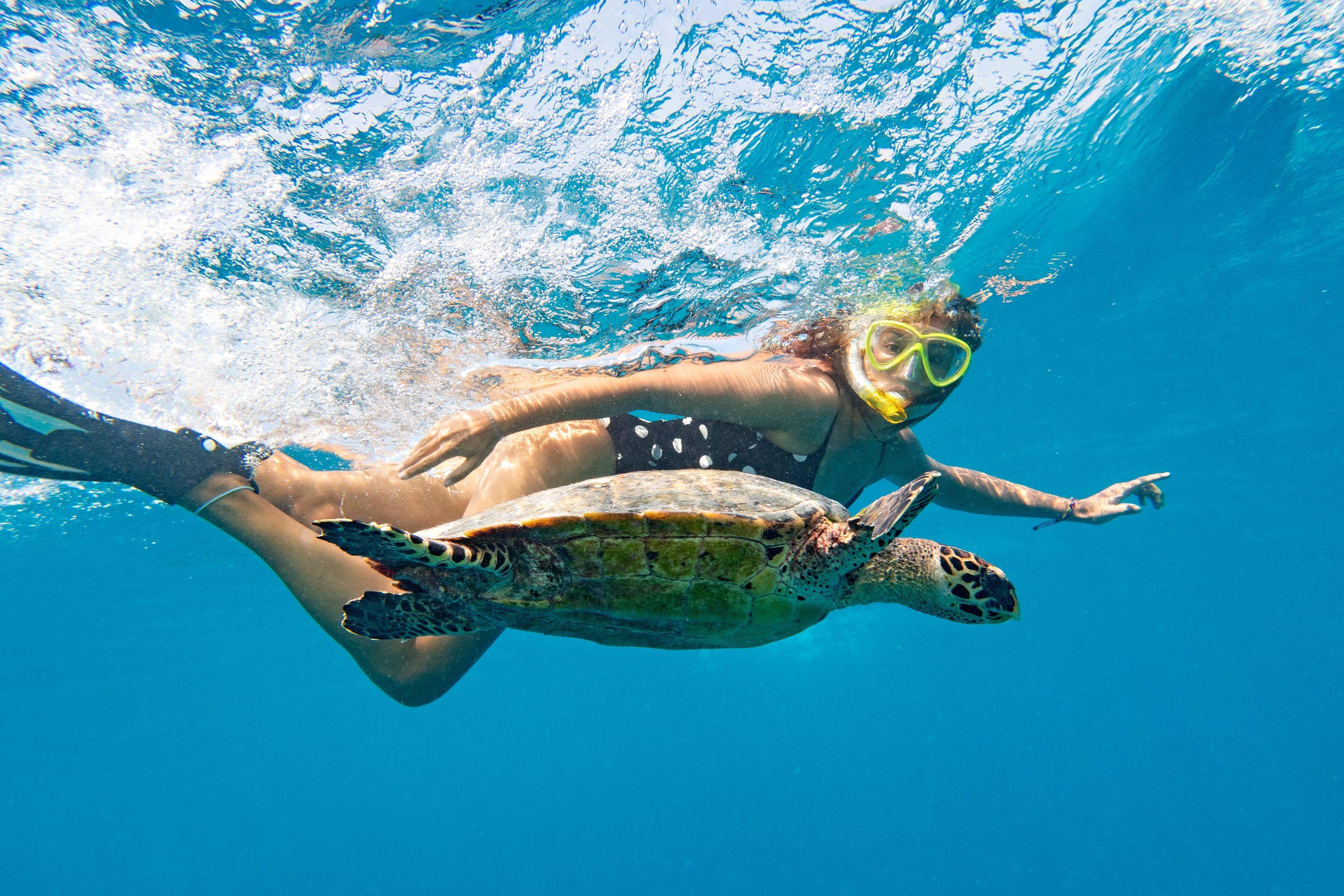 JA-Manafaru-Island-Activities-Snorkelling-Turtle.jpg
