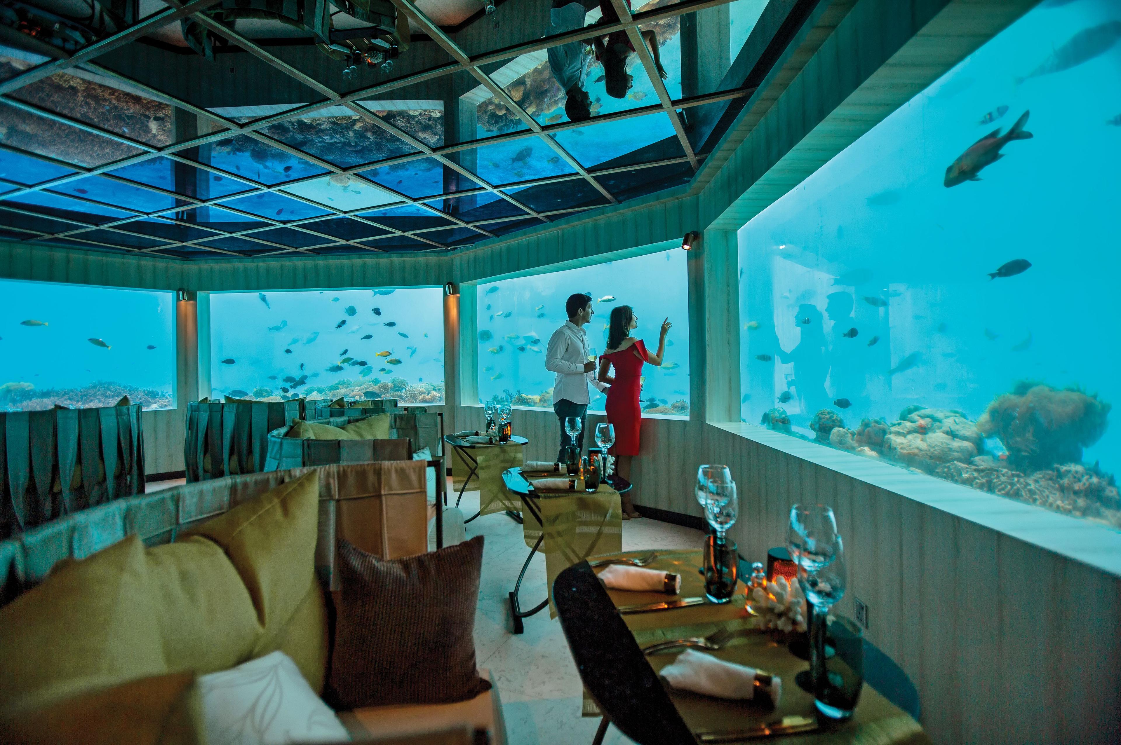 Ozen-Life-Maadhoo-Food-and-Drinks-Underwater-Dining-M6m-Underwater-Restaurant-3.jpg