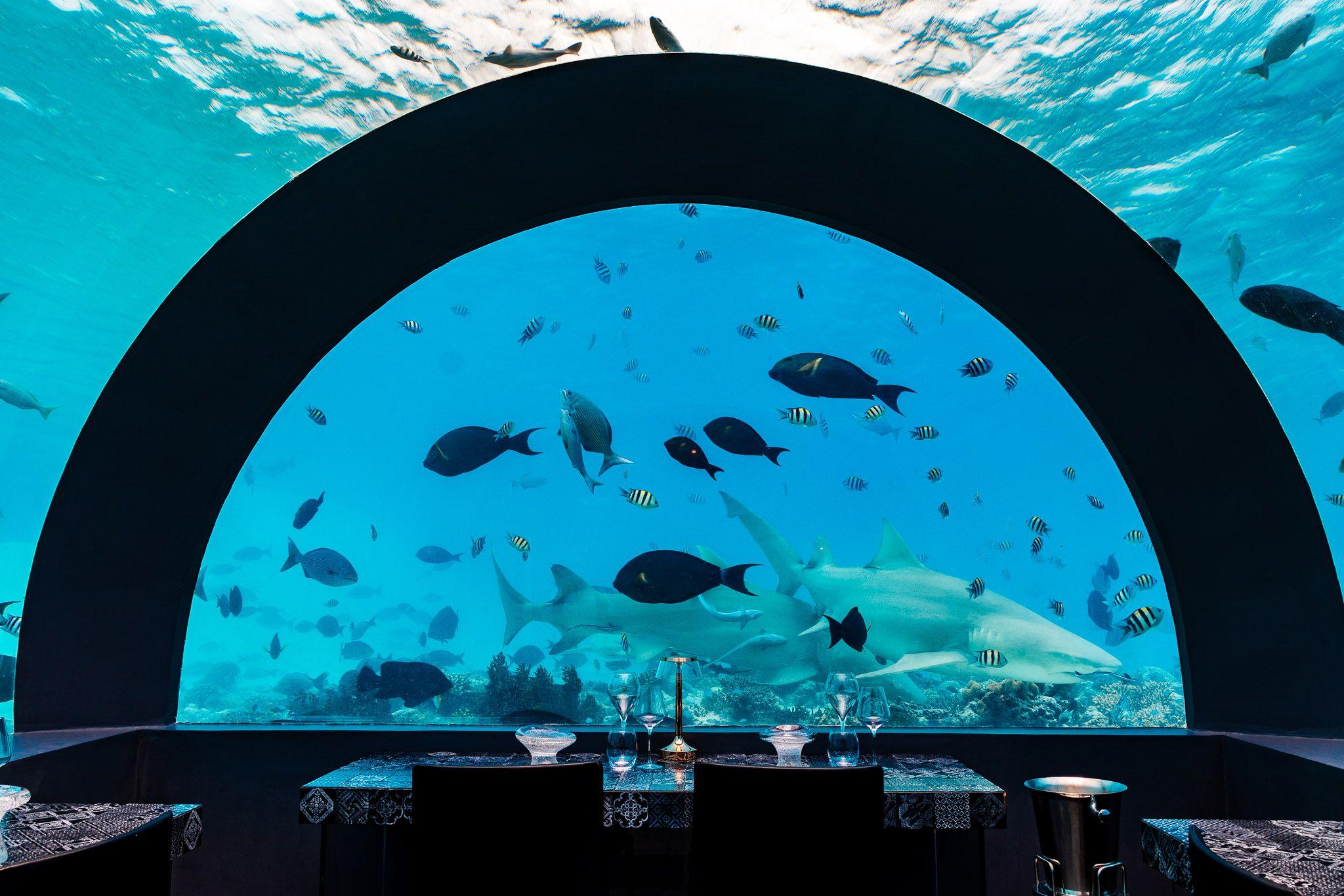 You & Me Maldives - F&B - Underwater Restaurant - H2O.jpg